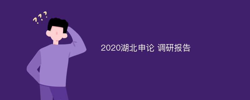 2020湖北申论 调研报告